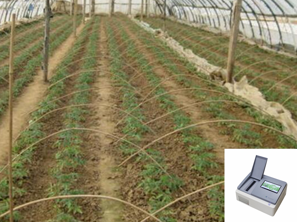 河南某番茄种植基地引进土壤养分速测仪实现精准施肥